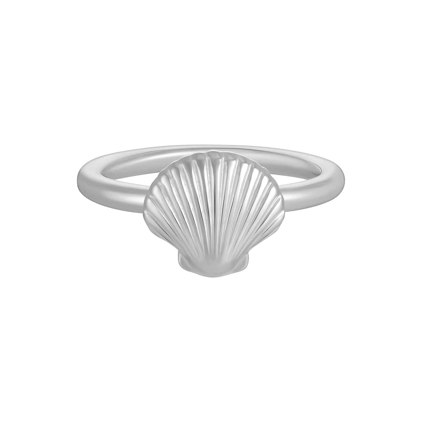 Bohomoon Stainless Steel Ariel Shell Ring