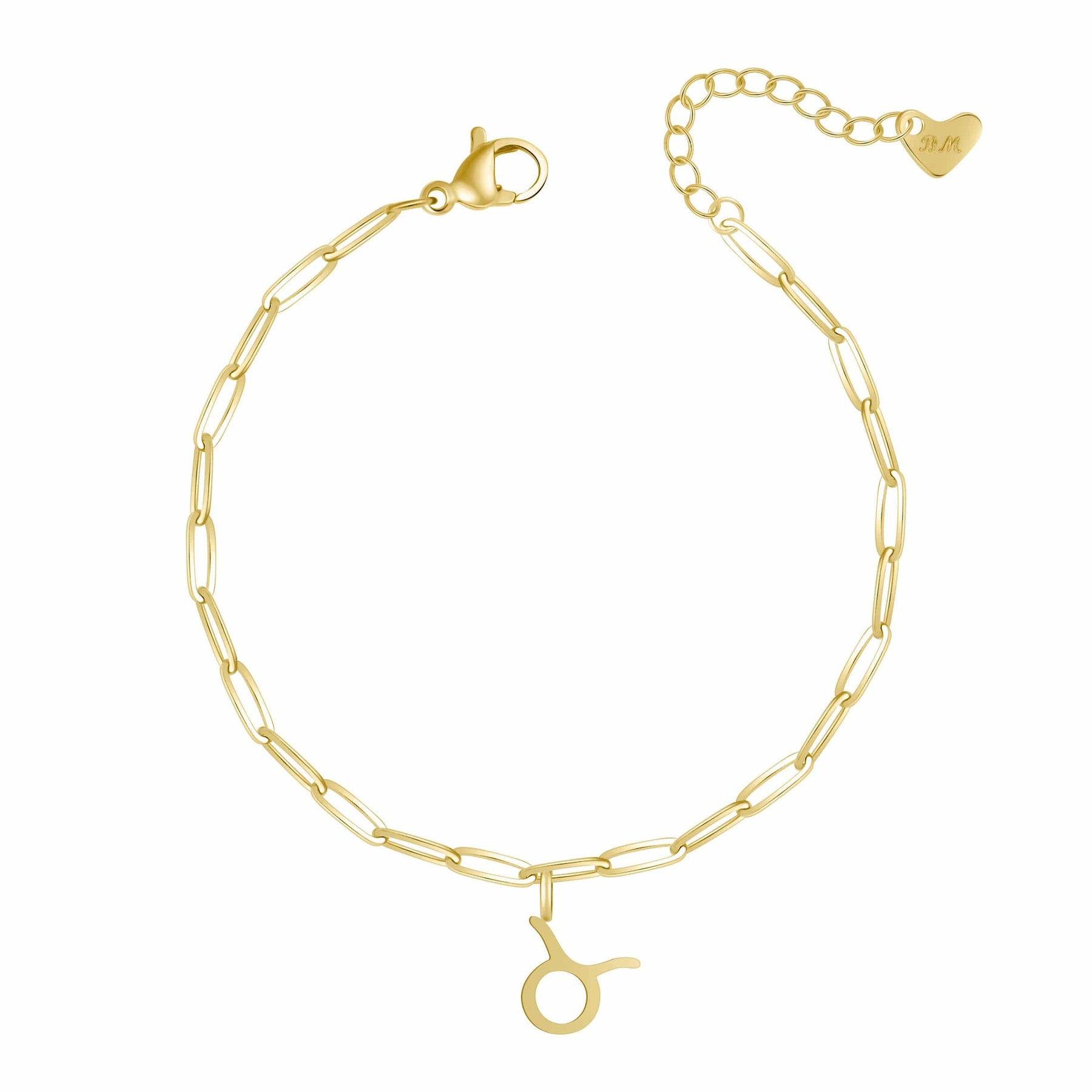 Bohomoon Stainless Steel Happy Birthday Zodiac Bracelet
