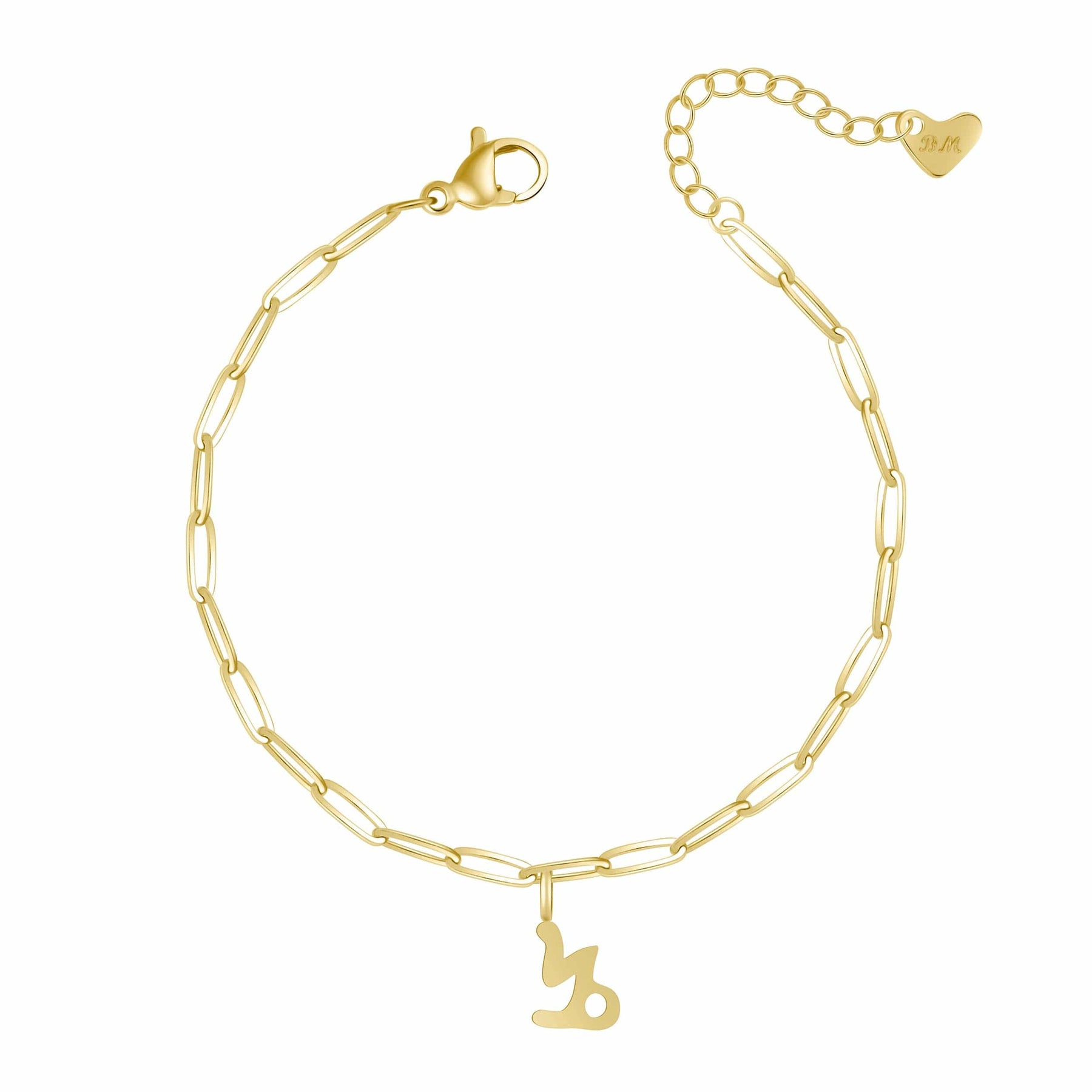 Bohomoon Stainless Steel Happy Birthday Zodiac Bracelet