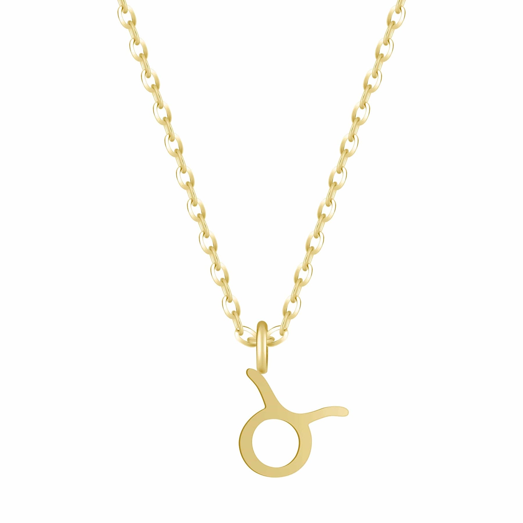 Bohomoon Stainless Steel Happy Birthday Zodiac Necklace