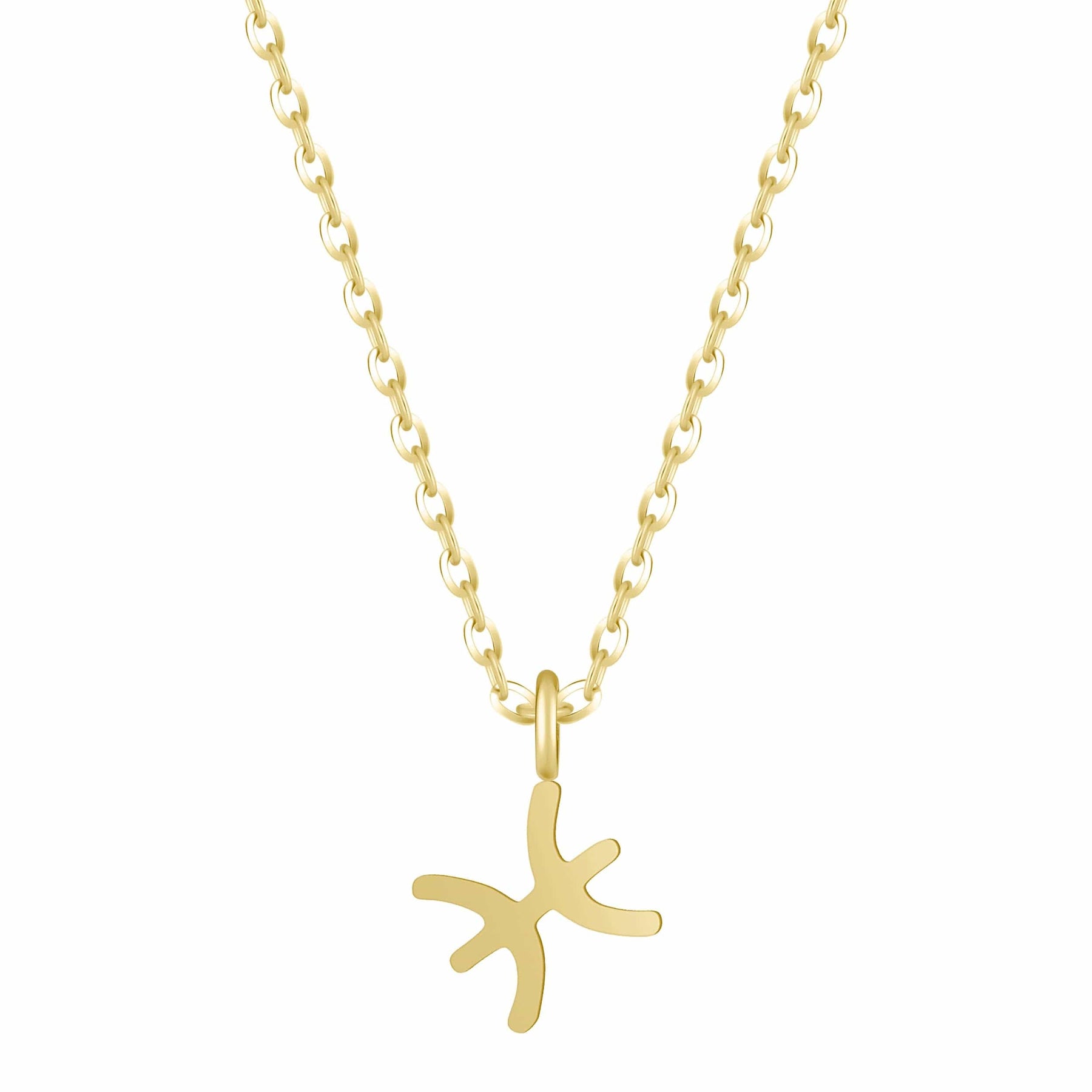 Bohomoon Stainless Steel Happy Birthday Zodiac Necklace