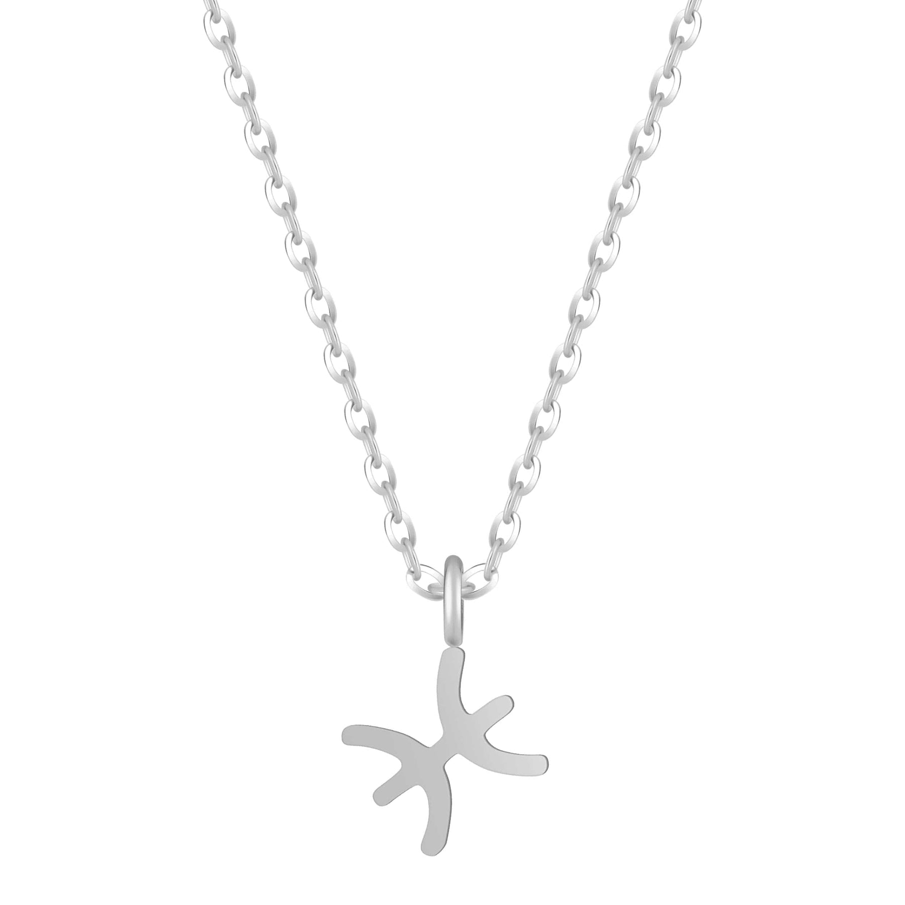 Bohomoon Stainless Steel Happy Birthday Zodiac Necklace