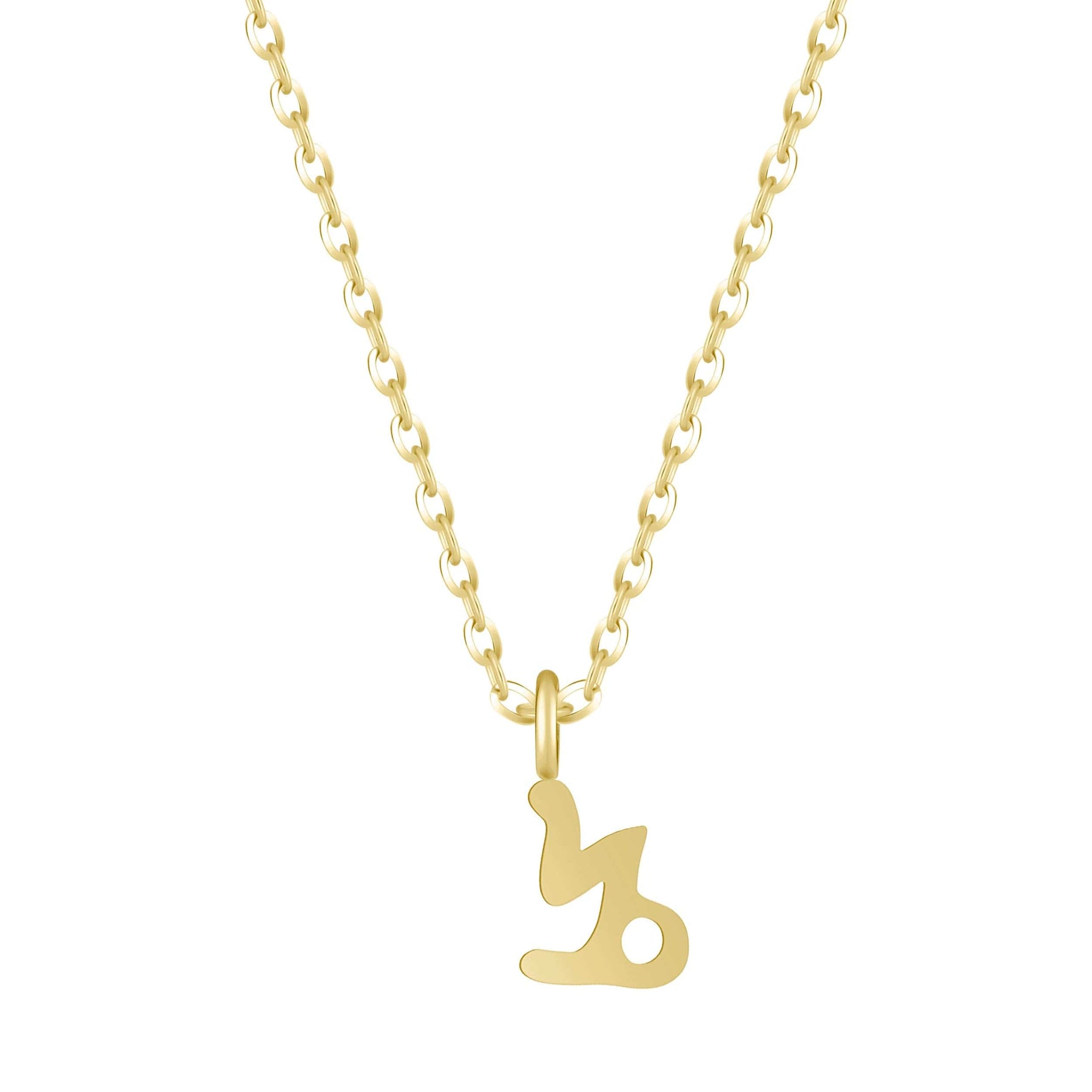 Bohomoon Stainless Steel Happy Birthday Zodiac Necklace