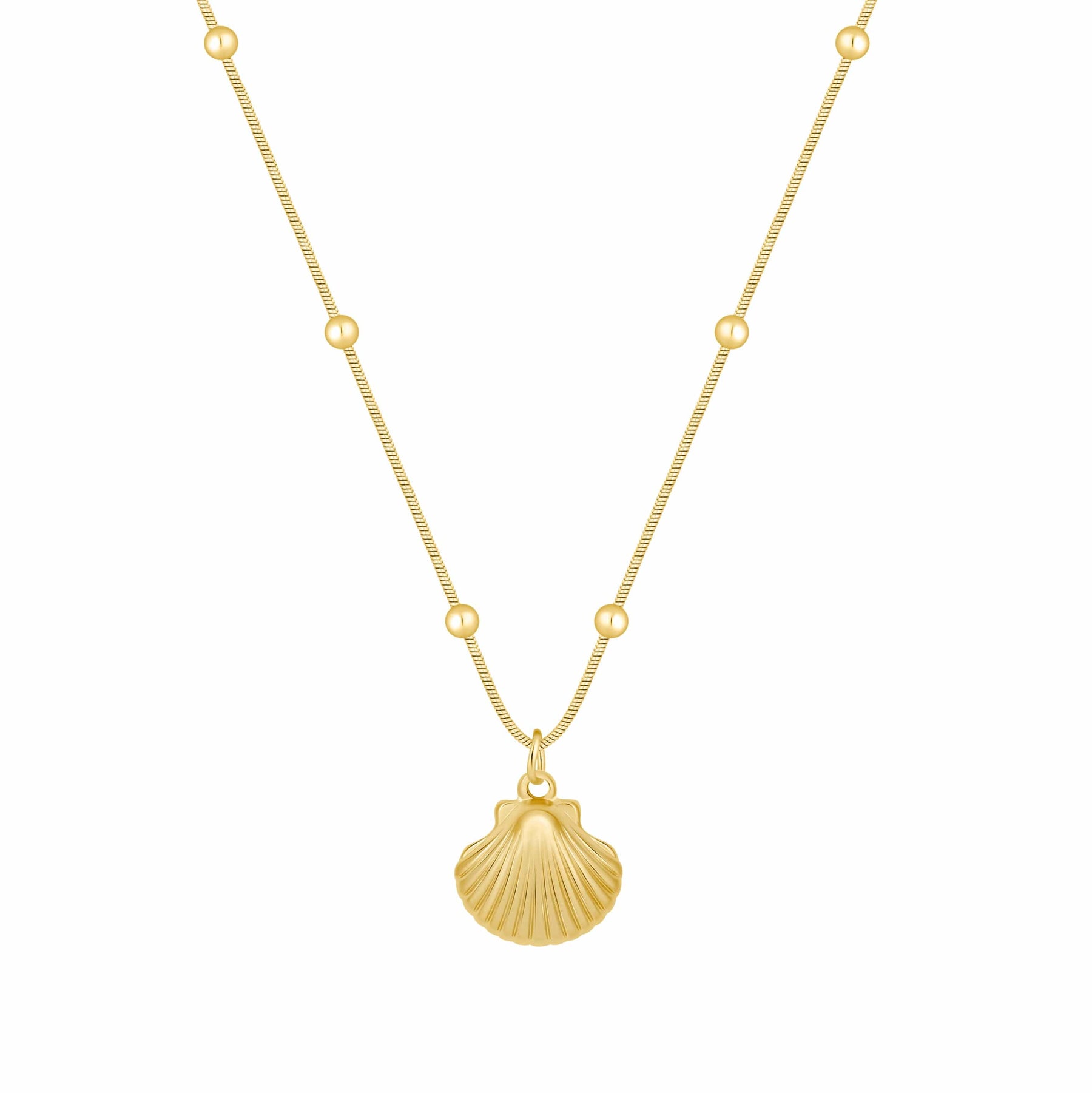 Bohomoon Stainless Steel Brooke Shell Necklace
