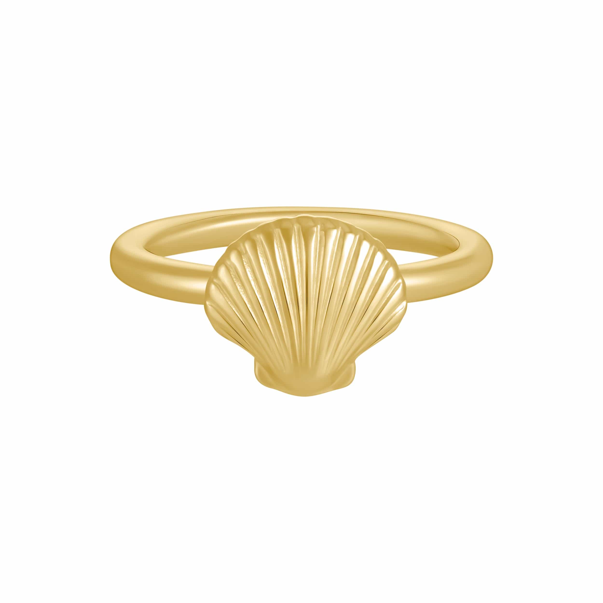 Bohomoon Stainless Steel Ariel Shell Ring