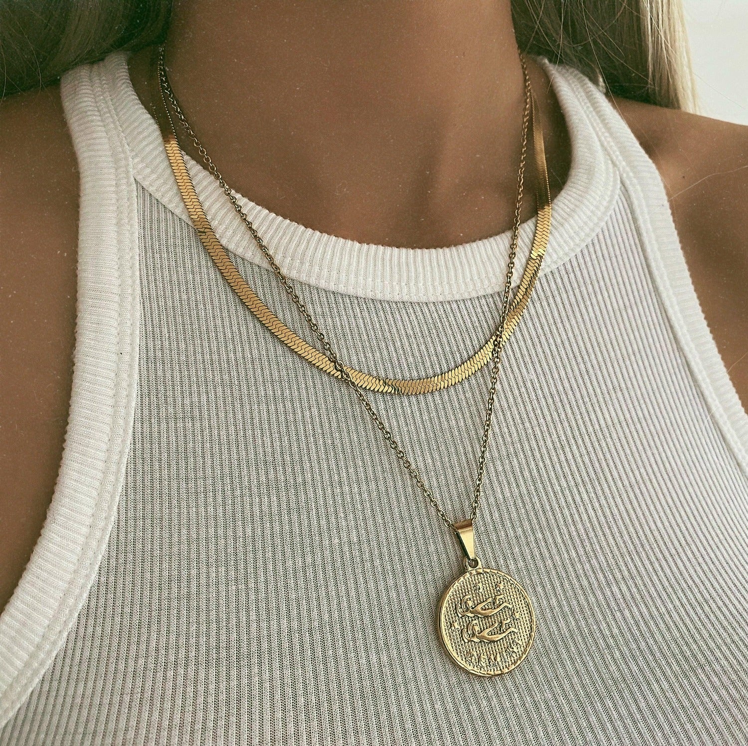 BohoMoon Stainless Steel Coin Zodiac Necklace