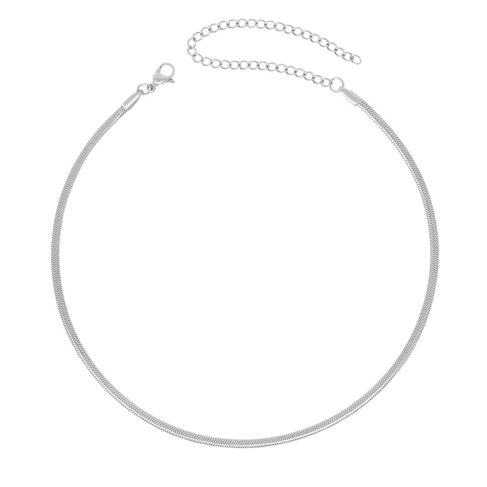 BohoMoon Stainless Steel Dainty Herringbone Choker / Necklace Silver / Choker