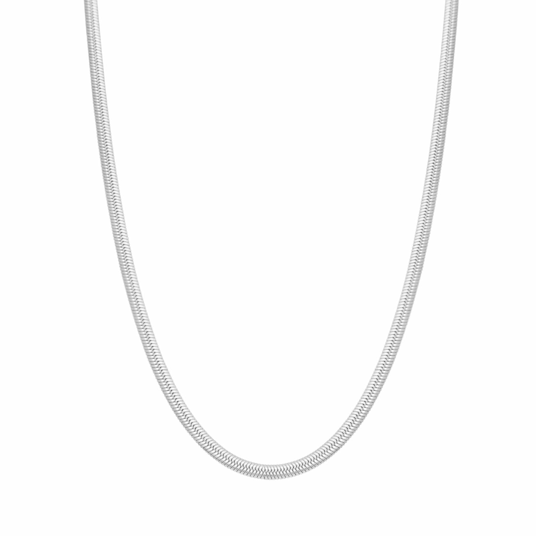 BohoMoon Stainless Steel Dainty Herringbone Choker / Necklace Silver / Necklace