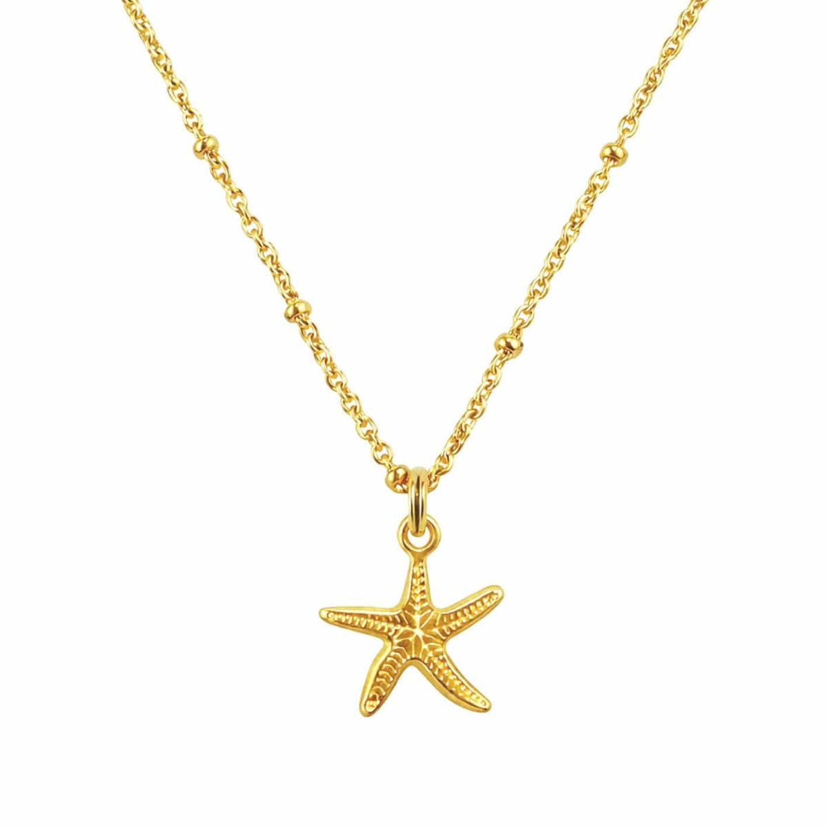 Bohomoon Stainless Steel Erin Starfish Necklace