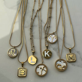 BohoMoon Stainless Steel Frost Zodiac Necklace