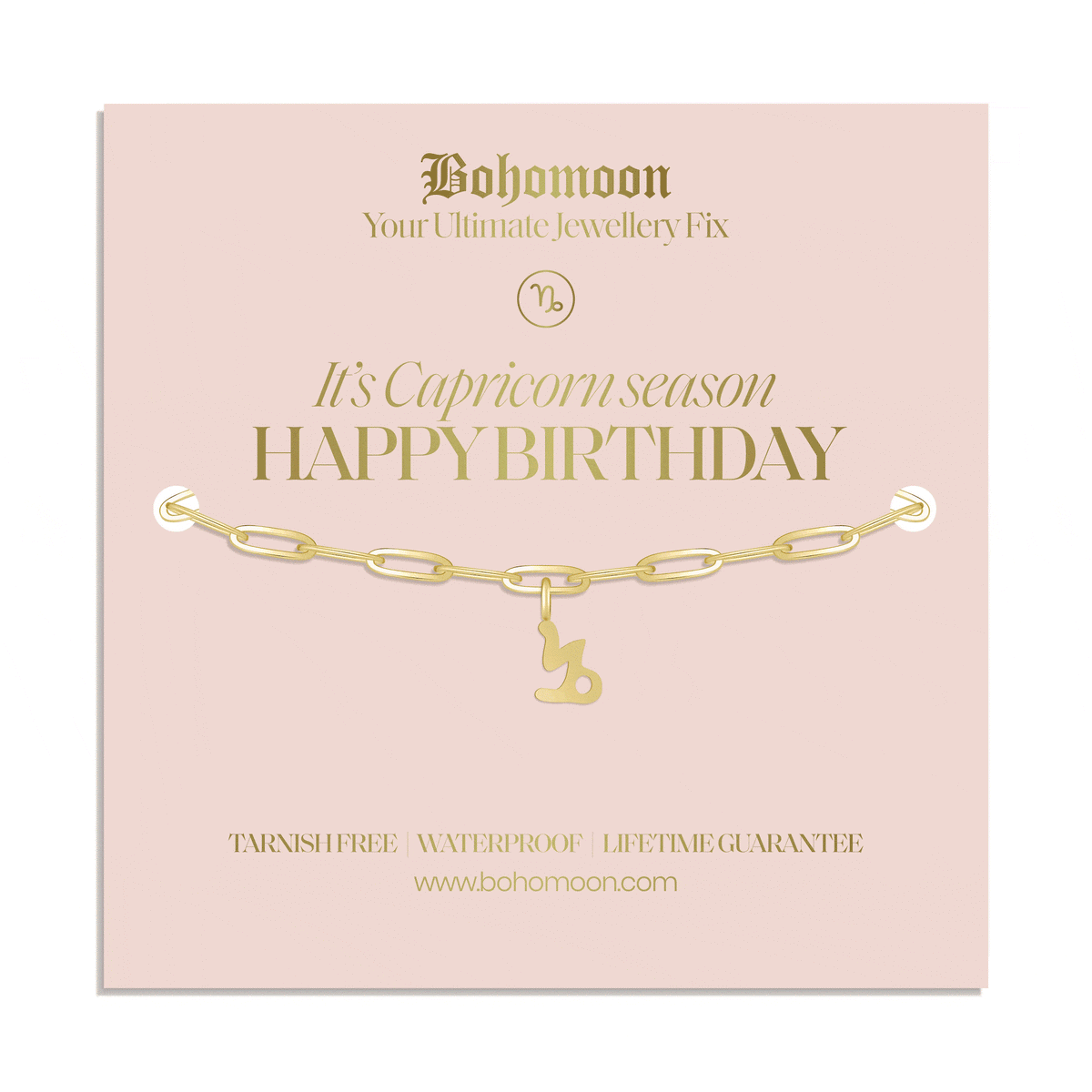 Bohomoon Stainless Steel Happy Birthday Zodiac Bracelet