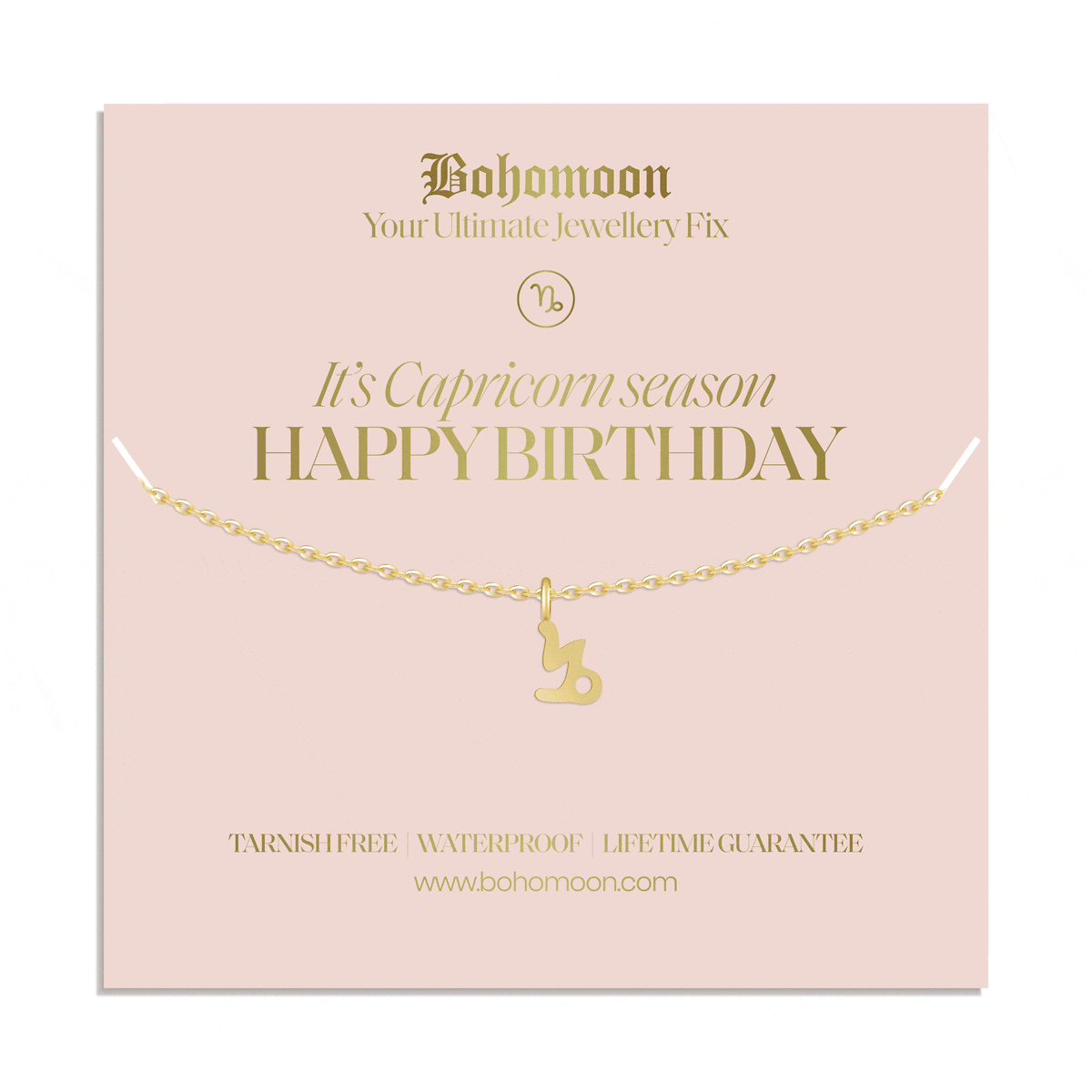 Bohomoon Stainless Steel Happy Birthday Zodiac Necklace