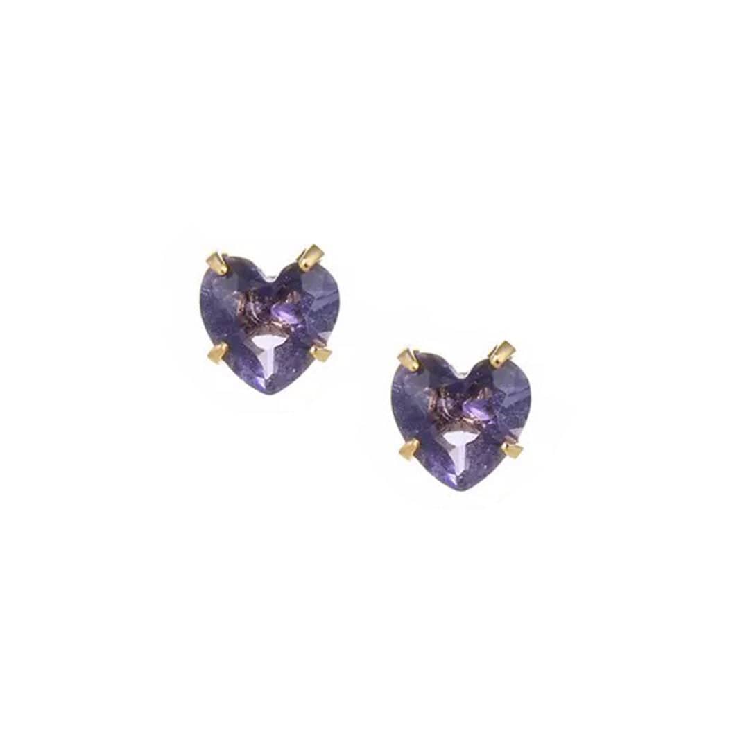 BohoMoon Stainless Steel Heart Birthstone Earrings
