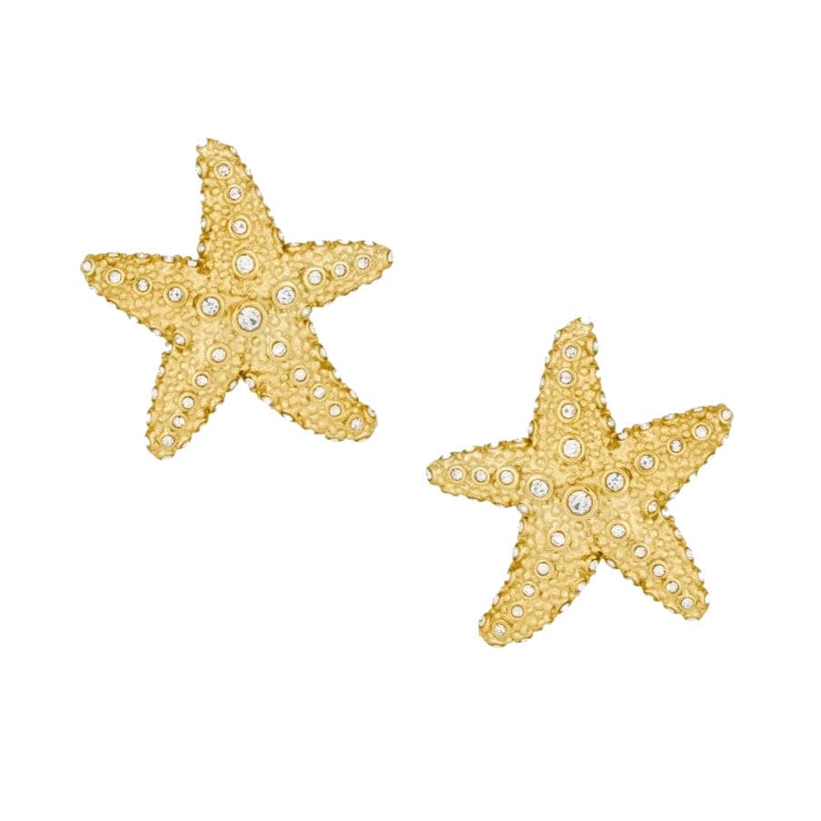 Bohomoon Stainless Steel Marine Starfish Stud Earrings