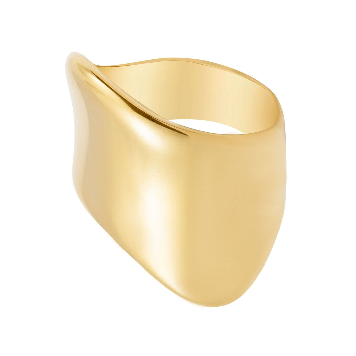 BohoMoon Stainless Steel Nostalgia Ring Gold / US 6 / UK L / EUR 51 (small)