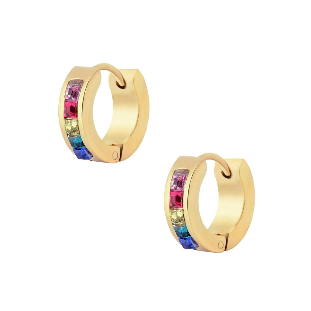 BOHOMOON Rainbow Hoop Earrings Waterproof Tarnish Free Stainless