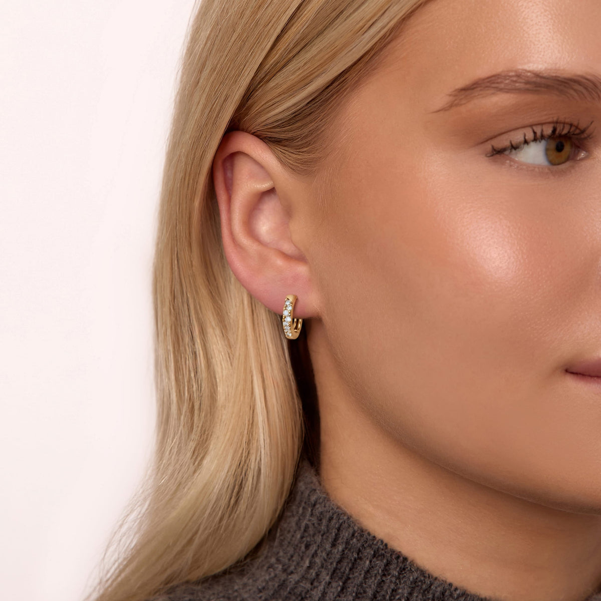 Bohomoon Stainless Steel Rosanna Hoop Earrings