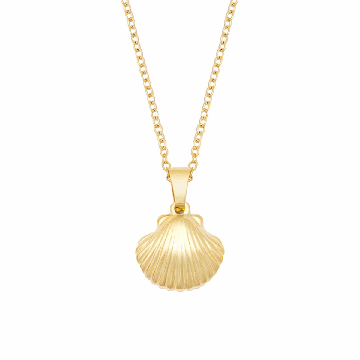 Bohomoon Stainless Steel Shelly Necklace