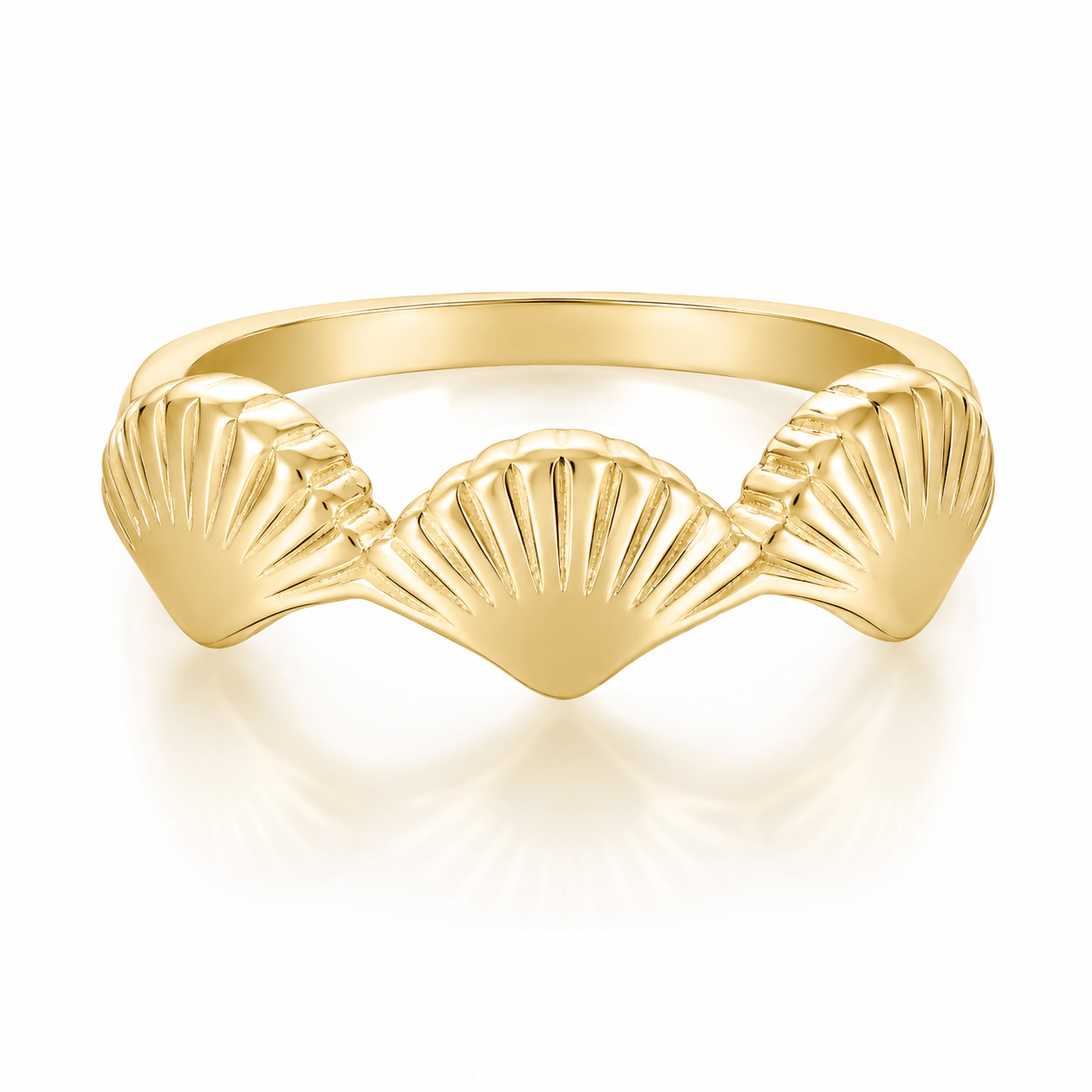 Bohomoon Stainless Steel Shore Shell Ring