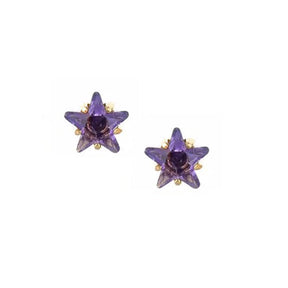 BohoMoon Stainless Steel Star Birthstone Earrings Gold / February