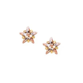 BohoMoon Stainless Steel Star Birthstone Earrings Gold / June