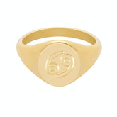 BohoMoon Stainless Steel Twilight Zodiac Signet Ring Gold / Capricorn / US 6 / UK L / EUR 51 (small)