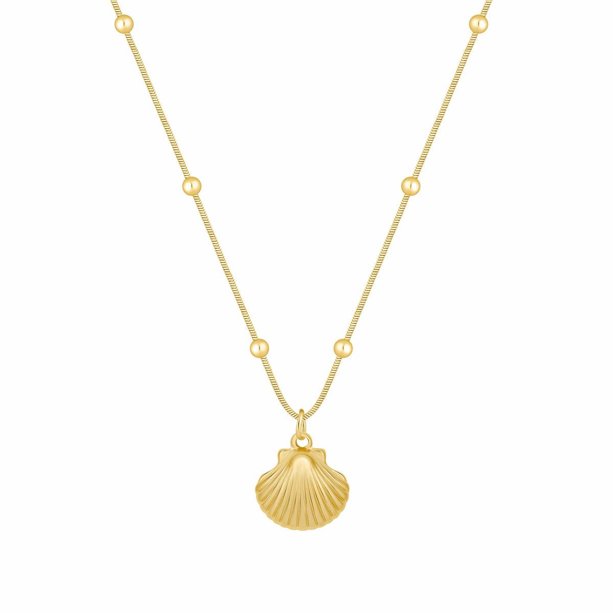Bohomoon Stainless Steel Brooke Shell Necklace