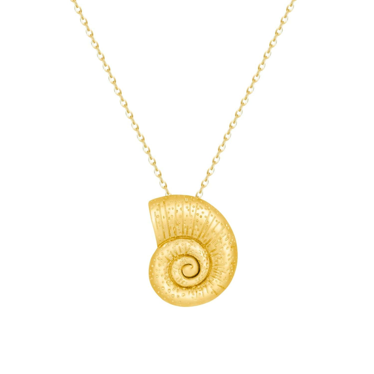 Bohomoon Stainless Steel Kiki Shell Necklace